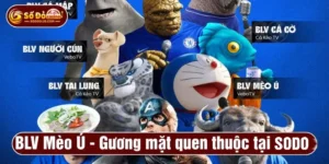 blv mèo ú sodo