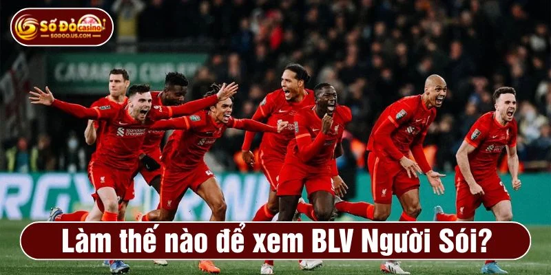 BLV Người Sói 90p