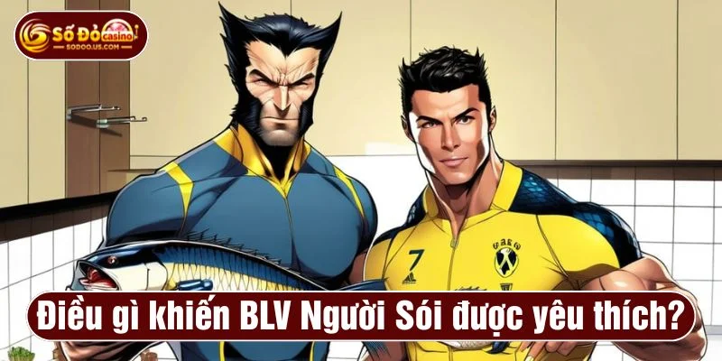 BLV Người Sói xoilac