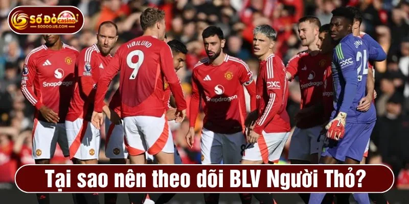 BLV Người Thỏ 90p