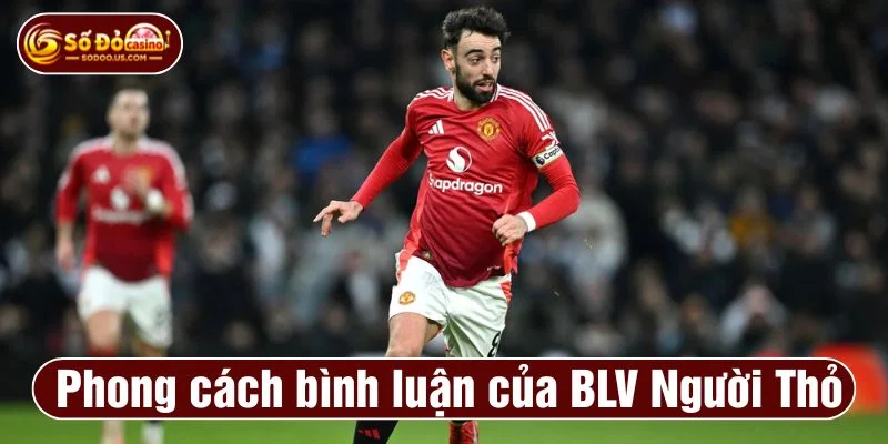 BLV Người Thỏ xoilac