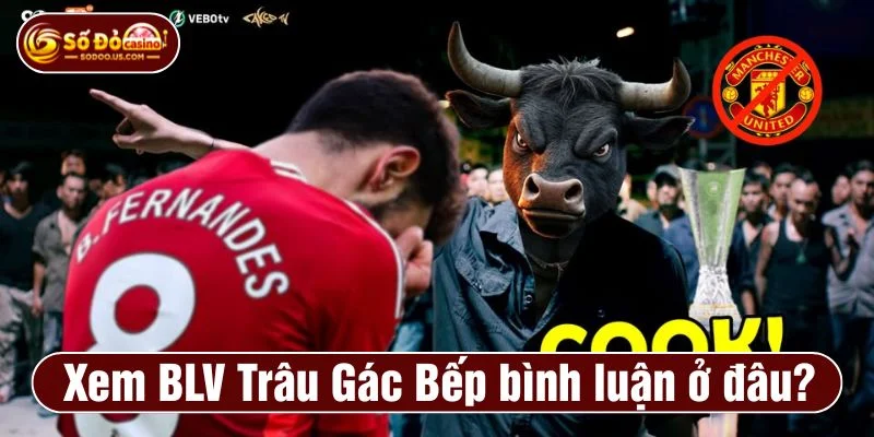 BLV Trâu Gác Bếp 90p