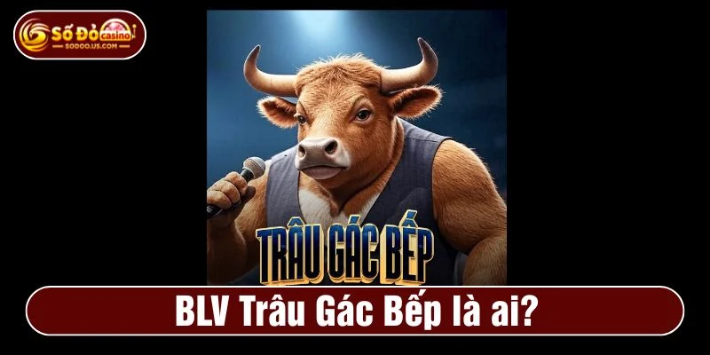 BLV Trâu Gác Bếp là một gương mặt quen thuộc trên SODO