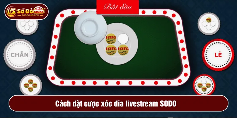 Cách đặt cược xóc đĩa livestream SODO 