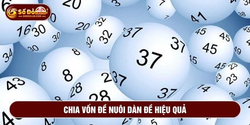 Cách chia vốn nuôi dàn đề hiệu quả nên áp dụng