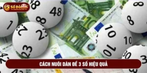 cách nuôi dàn đề 3 số hiệu quả