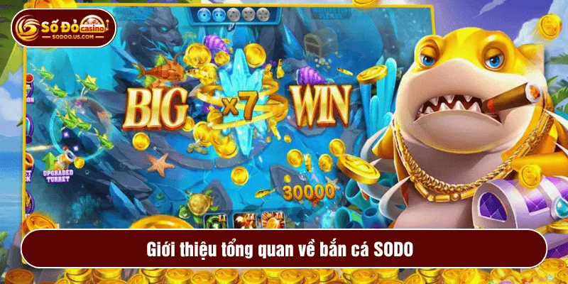 Giới thiệu tổng quan về bắn cá SODO