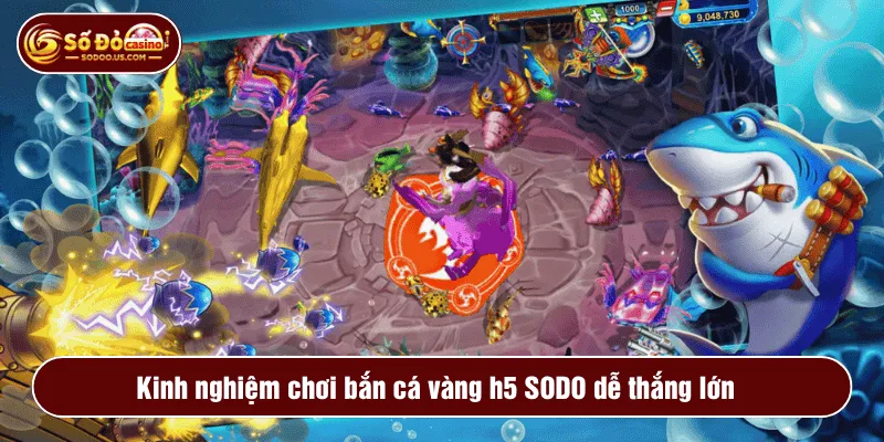 Kinh nghiệm chơi bắn cá vàng h5 SODO dễ thắng lớn