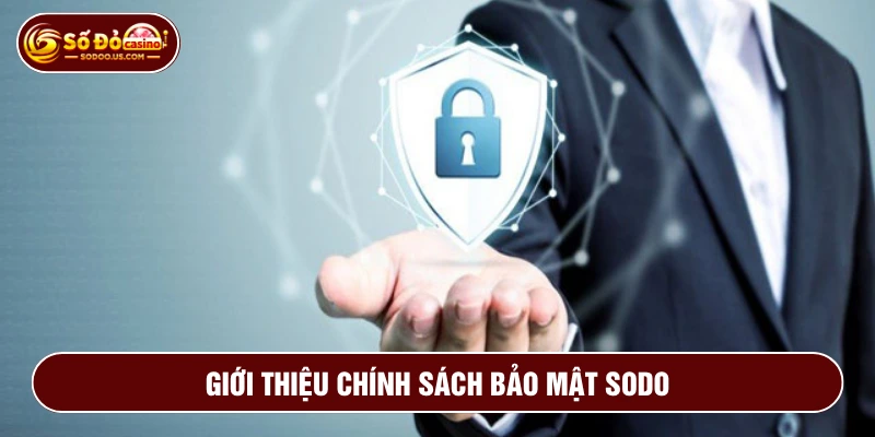 Chính sách bảo mật SODO bảo vệ thông tin người dùng