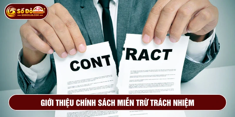 Miễn trừ trách nhiệm SODO cho nhà cái và người chơi