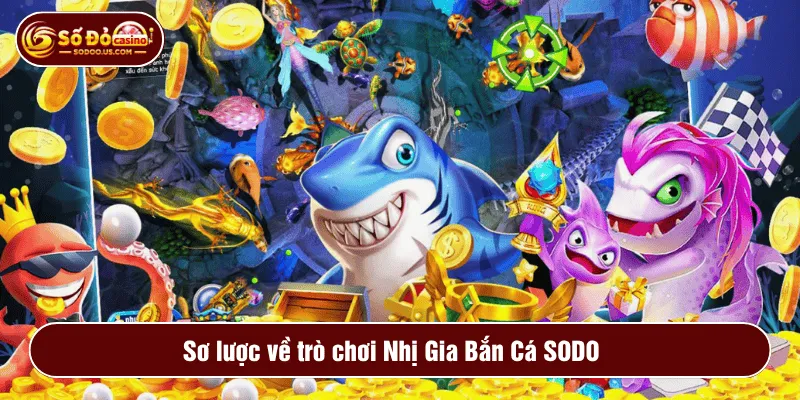 Sơ lược về trò chơi Nhị Gia Bắn Cá SODO 