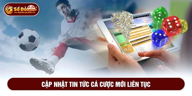 Tin tức khuyến mãi thường xuyên, kịp thời và luôn chính xác
